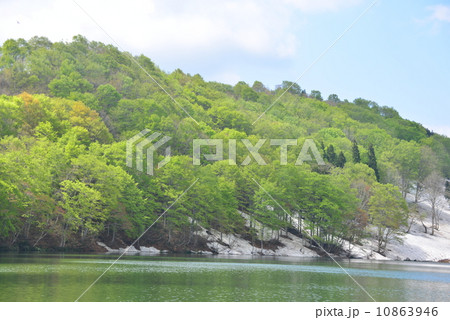 奥信濃の春 10863946