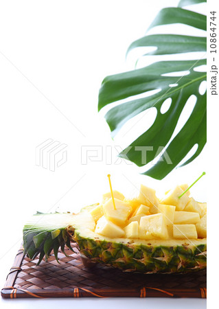 パイナップルボートとモンステラ 10864744