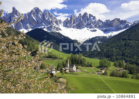 フネ谷の春景色とドロミティアルプス 10864891