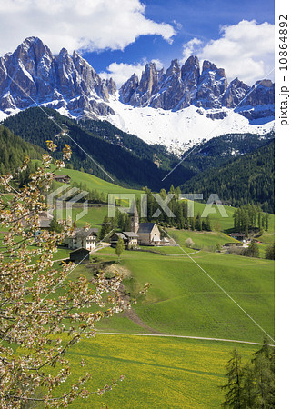 フネ谷の春景色とドロミティアルプス 10864892