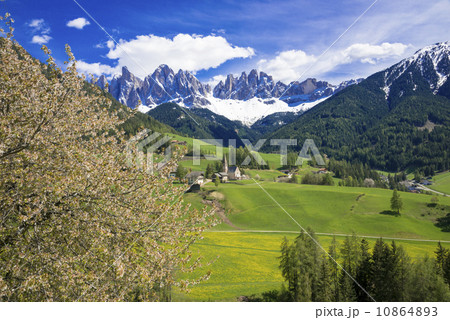 フネ谷の春景色とドロミティアルプス 10864893
