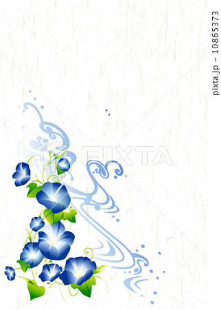 暑中見舞い 朝顔のイラスト素材