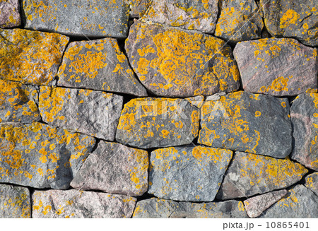 Background texture of old stone wall with bright lichen 10865401