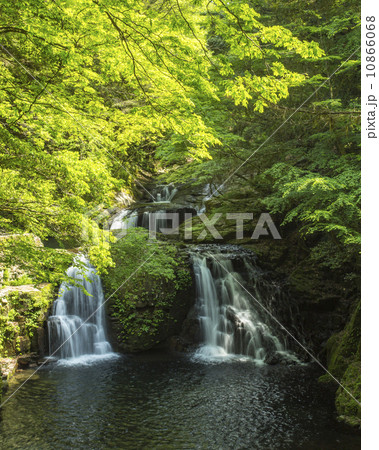 赤目の滝 10866068