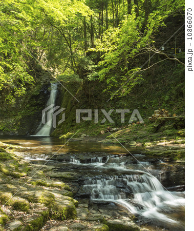 赤目の滝 10866070