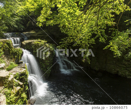 赤目の滝 10866075