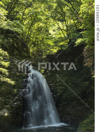 赤目の滝 赤目の滝 10866101