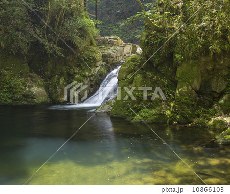 赤目の滝 赤目の滝 10866103