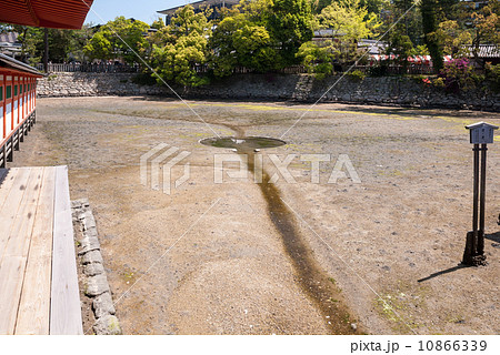 厳島神社　鏡の池 10866339