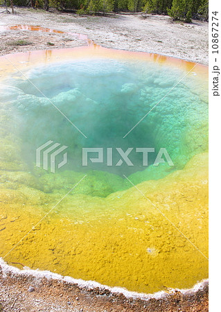イエローストーン国立公園 10867274