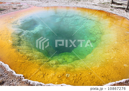 イエローストーン国立公園 イエローストーン国立公園 10867276