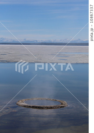 春のイエローストーン国立公園 10867337