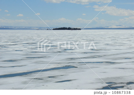 春のイエローストーン国立公園 10867338