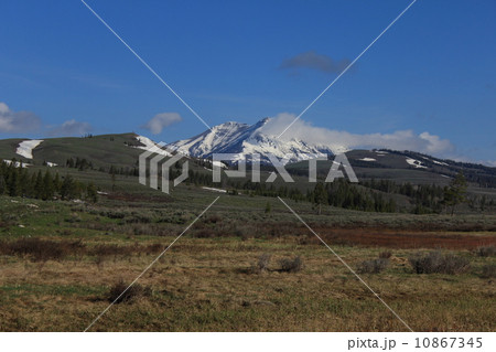 春のイエローストーン国立公園 春のイエローストーン国立公園 10867345
