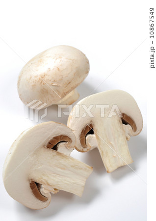 White mushroom  10867549