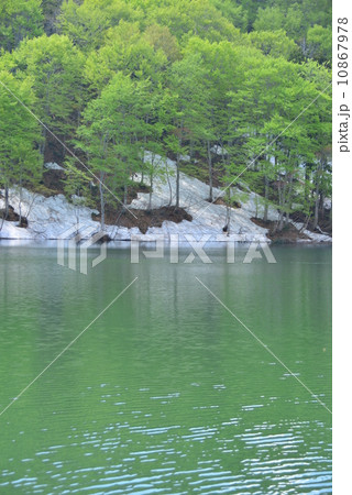 奥信濃の春 奥信濃の春 10867978