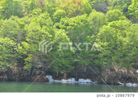 奥信濃の春 奥信濃の春 10867979