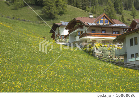 チロル地方の春 チロル地方の春 10868036