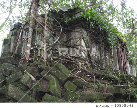 カンボジア　アンコール遺跡　ベンメリア 10868043