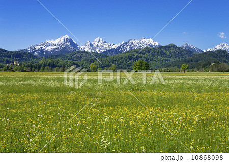 ババリア地方の春 10868098