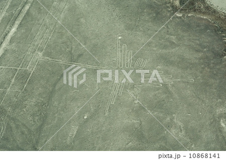 ナスカの地上絵・ハチドリ 10868141