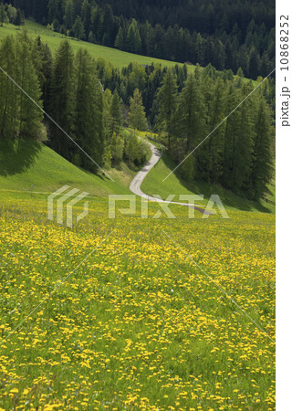 ドロミテ地方の春景色 10868252