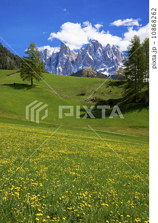 ドロミテ地方の春景色 10868262