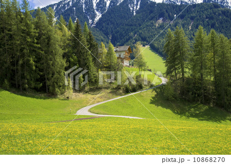 ドロミテ地方の春景色 10868270