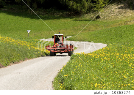 ドロミテ地方の春景色 ドロミテ地方の春景色 10868274