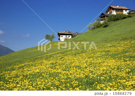 ドロミテ地方の春景色 10868279