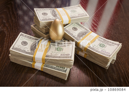 Golden Egg and Thousands of Dollars with American Flag Reflectio 10869084