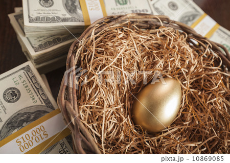 Golden Egg in Nest and Thousands of Dollars Surrounding 10869085