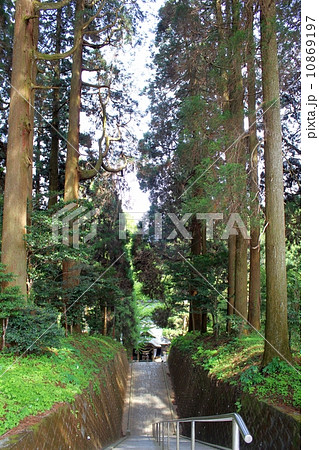 日本三大下り宮　草部吉見神社 10869197