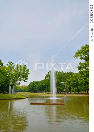 新緑の代々木公園 新緑の代々木公園 10869331