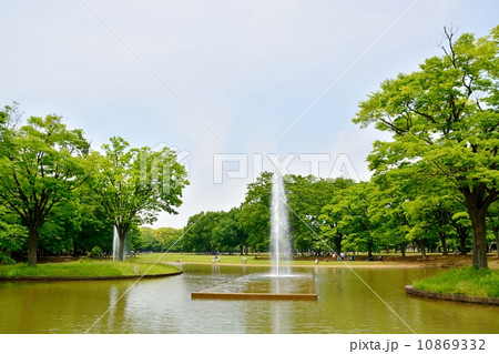新緑の代々木公園 10869332