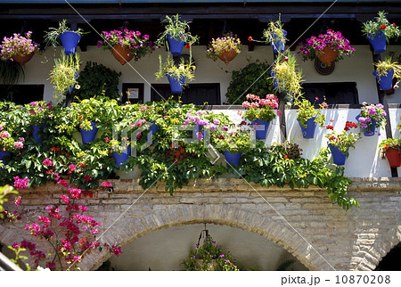 コルドバのパティオ祭り 【スペイン】 コルドバのパティオ祭り 【スペイン】 10870208