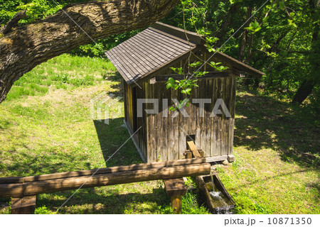 バッタリ小屋 10871350