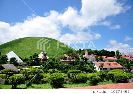 シャボテン公園と大室山 シャボテン公園と大室山 10872465