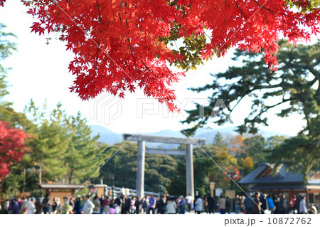 伊勢神宮の紅葉 伊勢神宮の紅葉 10872762