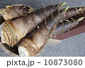 たけのこ収穫 10873080
