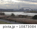 晩秋の河川敷と東京スカイツリー 10873084