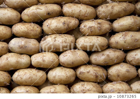 Potatoes 10873265