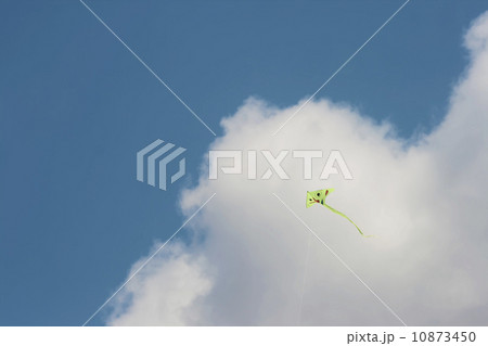 Kite 10873450
