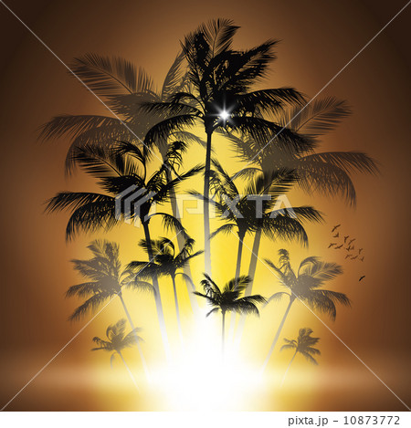 Palm tree at sunset 10873772