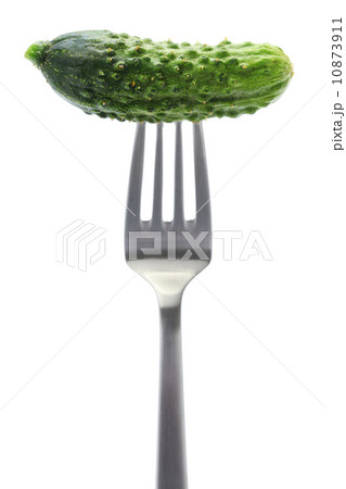 ガーキン ガーキン 10873911