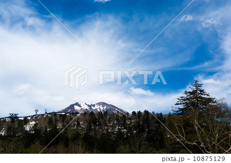 初夏の大雪山 10875129