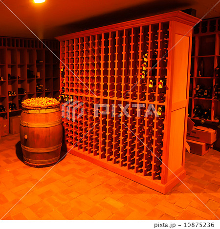 modern wine cellar 10875236