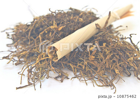 Traditional cigarettes and tobacco 10875462