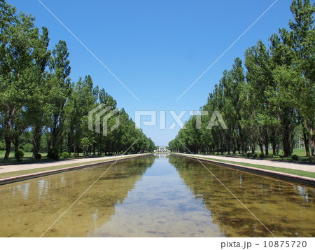 前田森林公園 10875720