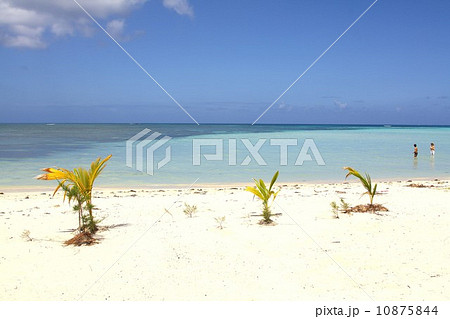 南の島サイパンの白砂のビーチとエメラルドグリーンに輝く美しいサンゴ礁の海 南の島サイパンの白砂のビーチとエメラルドグリーンに輝く美しいサンゴ礁の海 10875844